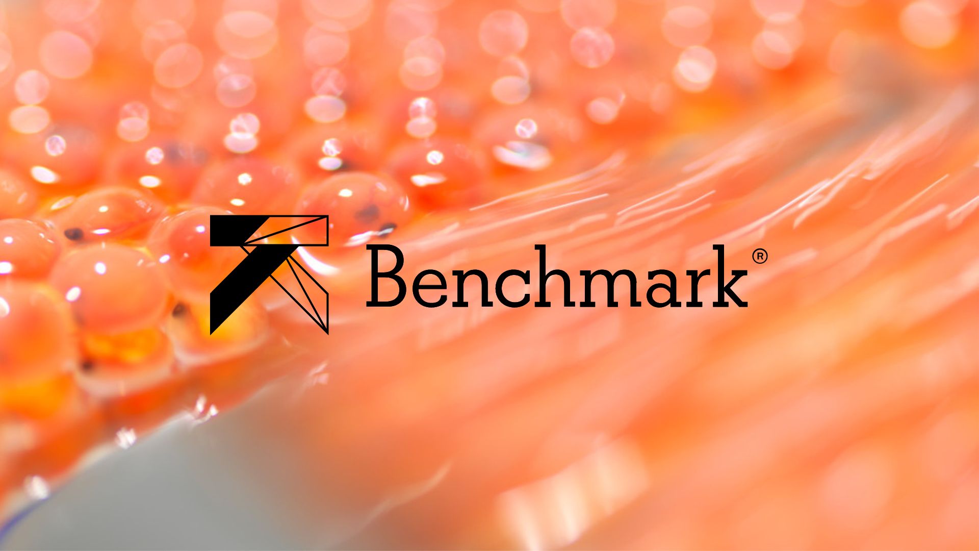 Benchmark Holdings noteres på Euronext Growth Oslo