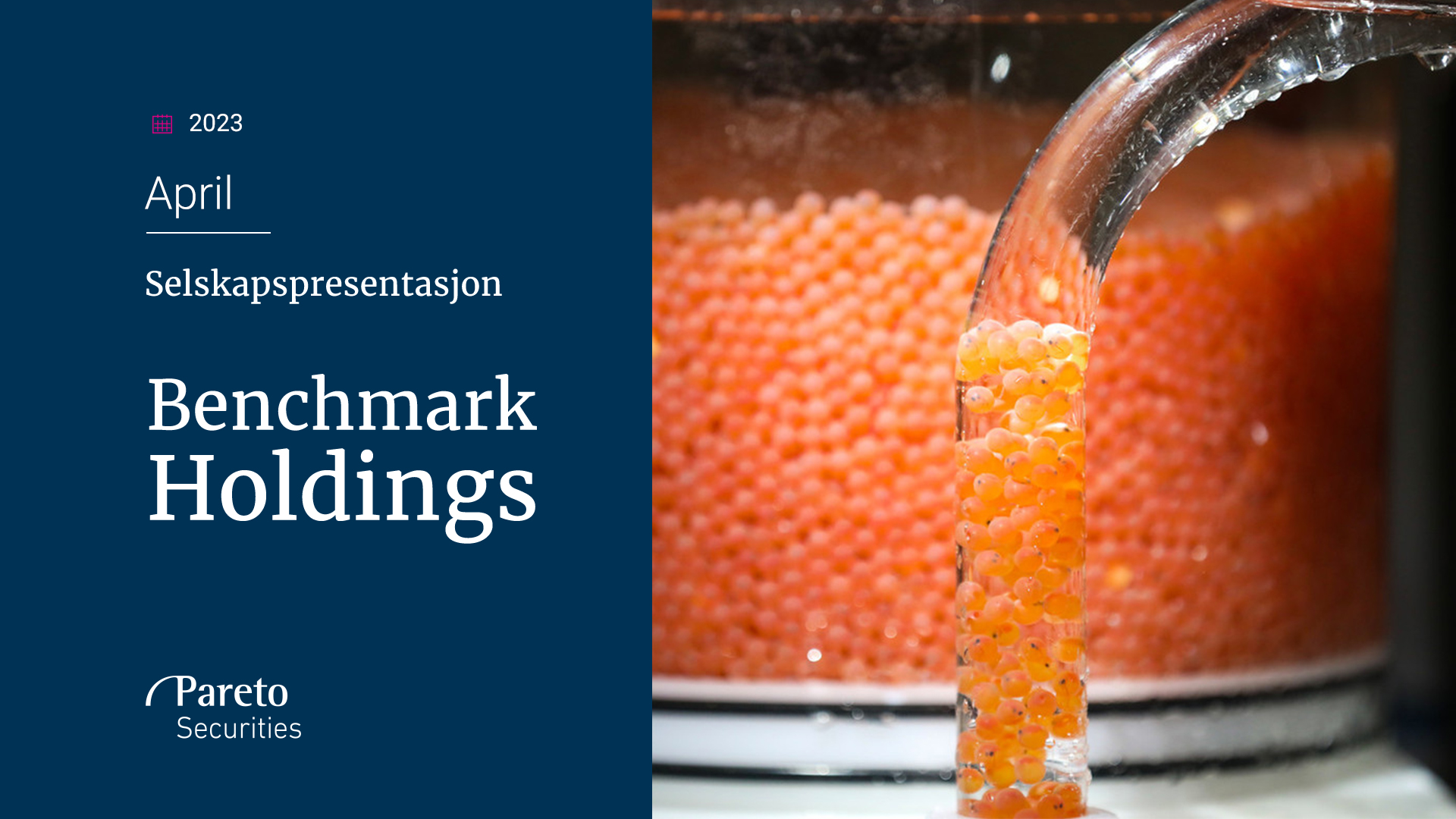 Benchmark Holdings: Selskapspresentasjon og Q&A